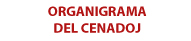 Organigrama